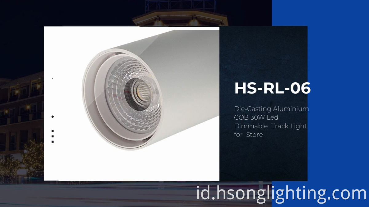 Hs-rl-06.die-casting aluminium .cob 30W LED. Lampu trek yang dapat dimampil. Untuk toko.